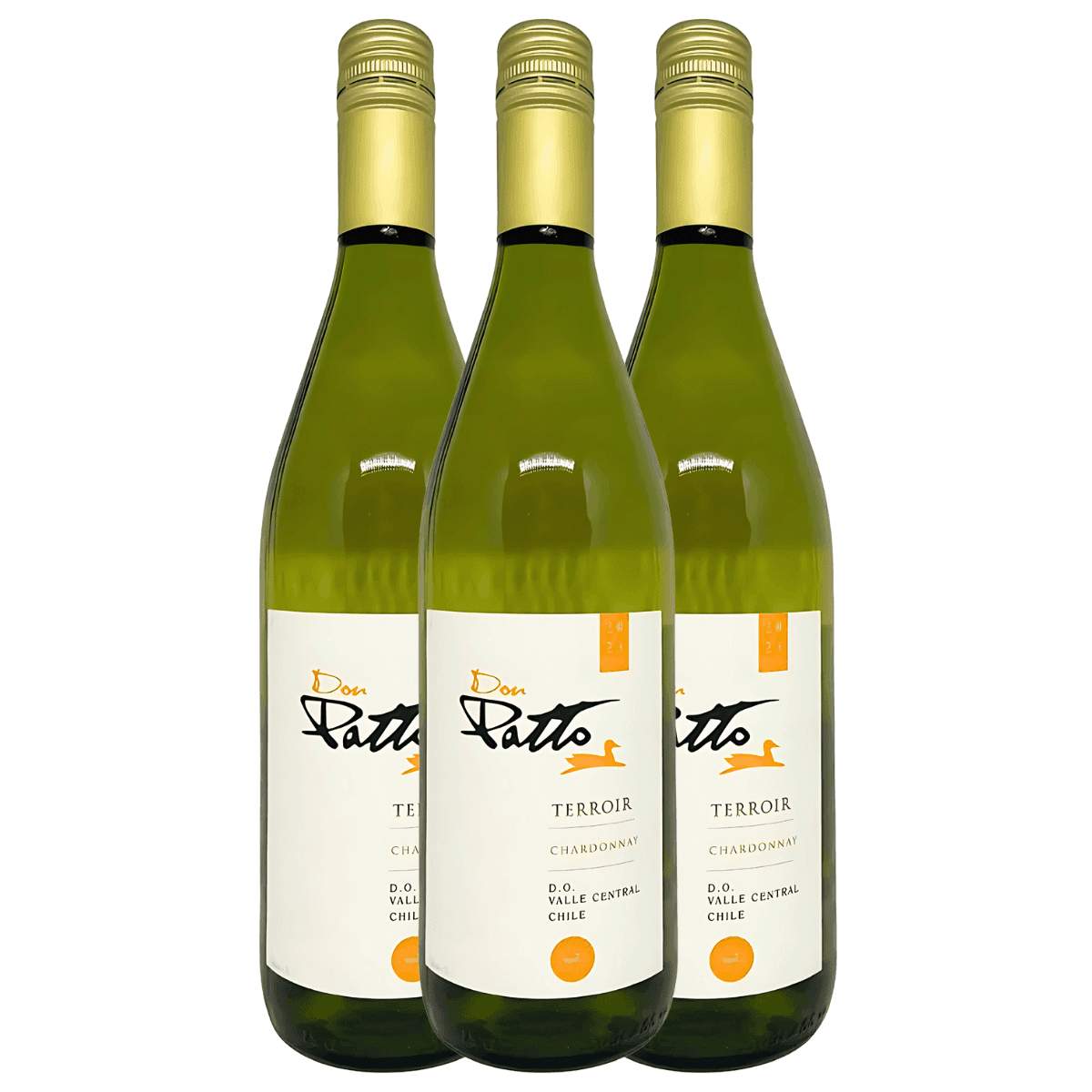 Kit 3 Vinhos Branco Seco Chileno Terroir Chardonnay 750ml